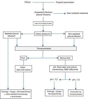 Algorithm for the treatment of parapneumonic effusion. aIn all cases, empirical antibiotic treatment should be started promptly, and then adjusted according to the results of the cultures. Other indications of drainage are the existence of bronchopleural or pleuroparietal fistula, air-fluid level, large volume or sepsis. bThe presence of septa may also be based on CT scan or chest X-ray findings. cAlso if the pleural fluid is cloudy or foul-smelling.