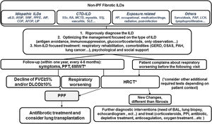 Simplified algorithm for clinical management of progressive pulmonary fibrosis (PPF). Based on the narrative text of the 2022 published guideline document.AFOP: acute fibrinous organizing pneumonia; AlP: acute interstitial pneumonia; BAL: bronchoalveolar lavage; COP: cryptogenic organizing pneumonia; HP: hypersensitivity pneumonitis; PPI: proton pump inhibitors; DIP: descamative interstitial pneumonia; LIP: lymphoid interstitial pneumonia; NSIP: nonspecific interstitial pneumonia; PPFE: pleuroparenchymal fibroelastosis; GERD: gastroesophageal reflux disease; OSAS: obstructive sleep apeas syndrome; LCH: Langerhans cell histiocytosis; PAH: pulmonary arterial hypertension; PAP: pulmonary alveolar proteinosis; CTD-ILD: conective tissue disease associated ILD; SSc: systemic sderosis; RA: rheumatoid artritis; MCTD: mixed connective tissue disease; SSj: Sjögren syndrome; SLE: systemic lupus erythematosus; PFT: pulmonary function tests; 6MWT: 6 minutes walking test.