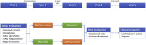 Protocol of the study.