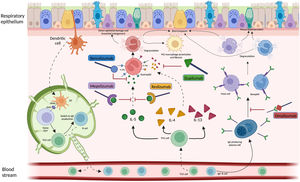 Molecular pathways of the T2 endotype, with biological drugs checkpoints in evidence. Reslizumab and mepolizumab target soluble IL-5, benralizumab is directed against the α subunit of the IL-5 receptor, dupilumab is an antagonist of the IL-4α receptor and the target of omalizumab is IgE.