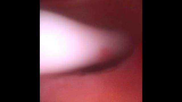 https://ars.els-cdn.com/content/image/1-s2.0-S0300289622006755-mmc1.mp4