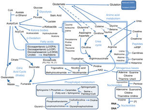 Outline of the most relevant pathways, molecules, phenotypes, and other components associated with COPD detected in metabolomic studies (details in Tables 2 and 3).
