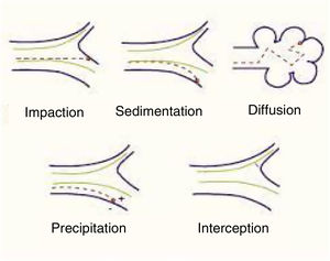 Mechanisms of deposition of particles in the lung.