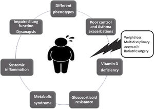 Complexity of the Obese Asthma syndrome. Multidisciplinary approach (respiratory physicians, endocrinologists, dietitians, etc.) is the key to break the pathological circle present in these patients.