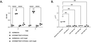 IH and miRNAs regulate HIF-1. (A) Treatment with ACF abolished IH-induced HIF-1α activity. Measurement of HIF-1α activity in CaCo2 cells exposed to normoxia or intermittent hypoxia for 2 and 4h, in presence or absence of 0.5μM ACF. Individual data and median are plotted (n=3). ****p≤0.0001. (B) MiRNA inhibition suppresses HIF-1α gene expression. qRT-PCR of HIF-1 gene expression in CaCo2 cells after transfection with miRNA inhibitors. Comparisons between groups were performed by Kruskal–Wallis test. Individual data and median are plotted (n=3). *p≤0.05, **p≤0.01.