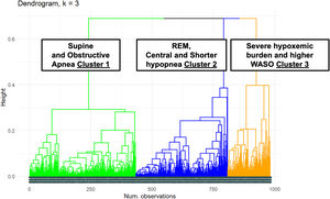 Dendrogram of cluster distribution based on polysomnographic variables. Abbreviations: REM, rapid-eye movement; WASO, wake after sleep onset.