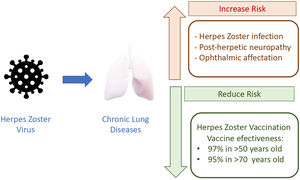 Herpes zoster virus, risk factors and vaccination protection.