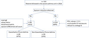 Flow chart of the study population. Abbreviations: IE: induced sputum; FEV1: forced expiratory volume in 1s.