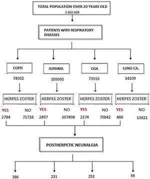 Flowchart showing the total number of patients in the study population and those with herpes zoster; subsequently, patients with HZ and the respiratory pathologies analyzed, and the population of each presenting PHN.