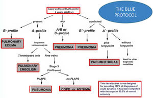 BLUE protocol. This algorithm (Chest 2008;134:117–125), is a proposal for the immediate diagnosis of the main causes of acute respiratory failure, using a pulmonary and venous ultrasound approach. Profile A associates anterior lung slippage with A lines. Profile A′ is an A-profile with suppressed pulmonary sliding. Profile B associates the anterior lung sliding with B-lines. Profile B′ is a B profile with suppressed lung sliding. The C-profile indicates anterior lung consolidation, regardless of size and number. An irregular and thickened pleural line is its equivalent. A/B profile is half an A profile in one lung and half a B profile in the other.
