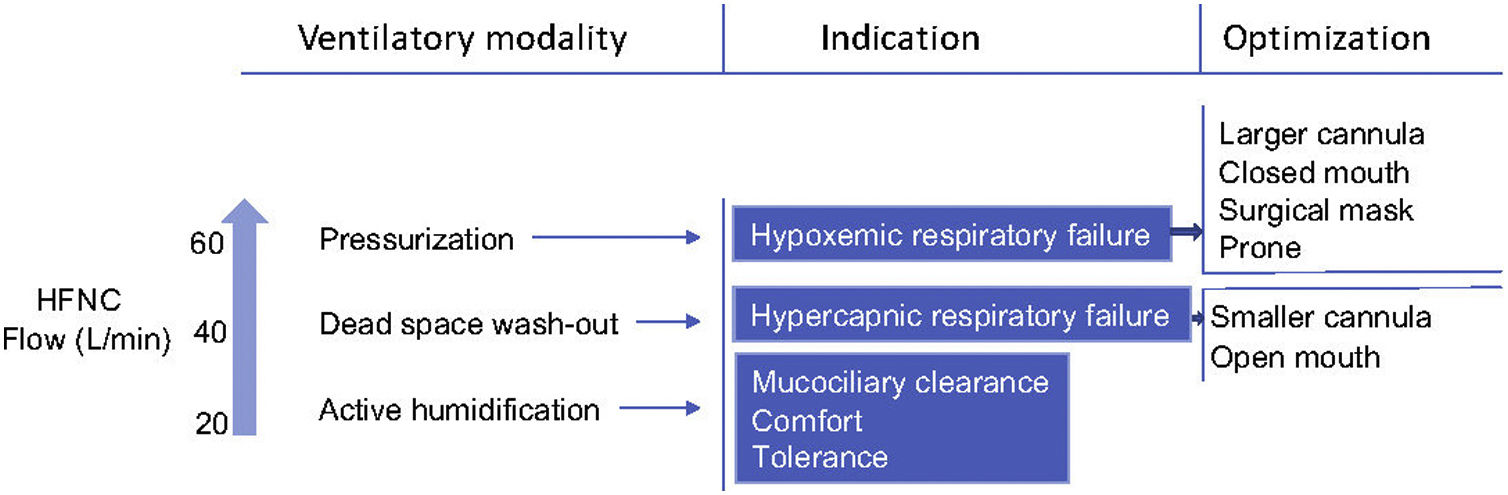 High-flow Nasal Cannula Ventilatory Modalities | Archivos de ...