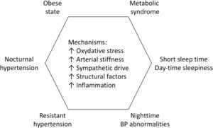 Clinical conditions favoring the occurrence of obstructive sleep apnea and related pathophysiological mechanisms. BP: blood pressure.
