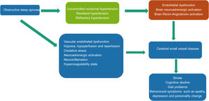 Relationship between hypertension, obstructive sleep apnoea and cerebral small vessel disease: possible mechanisms.