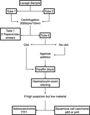 Pleural lavage sample processing protocol.