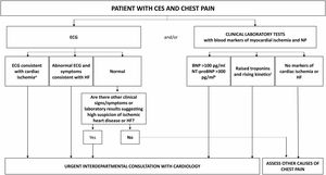Algorithm for referral from respiratory medicine to cardiology of a patient with CES and chest pain. a Take into account that patients with COPD are more likely to present unstable angina or non-ST-elevation AMI than patients without COPD; b values of BNP<100pg/ml or NT-proBNP<300pg/ml rule out a diagnosis of HF with a negative predictive value greater than 90%; c cTn is elevated in 18–27% of CES requiring hospitalization. High values do not necessarily imply acute myocardial ischemia requiring specific intervention or treatment. AMI: acute myocardial infarction; BNP: B-type natriuretic peptide; ECG: electrocardiogram; CES: COPD exacerbation syndrome; COPD: chronic obstructive pulmonary disease; cTn: cardiac troponin; HF: heart failure; NP: natriuretic peptides; NT-proBNP: N-terminal fraction of pro-B-type naturietic propeptide.