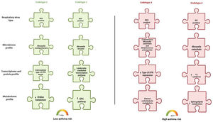 Severe bronchiolitis endotypes at differential risks for developing childhood asthma This figure represents a collective pattern of four severe bronchiolitis endotypes, as defined through the analysis of nasopharyngeal airway samples, at differential risks for developing childhood asthma. Each puzzle piece represents a biological profile. There are four distinct rows of puzzle pieces linking to biological profiles: respiratory viruses, microbiome, transcriptome and protein, and metabolome profile. There are four distinct columns (i.e., four sets) of puzzle pieces that represent the four distinct endotypes derived from the compilation of these four biological profiles. Among the four sets of puzzle pieces, the two sets on the left side (in green color) represent endotypes at low risk for developing asthma, whilst the two other sets on the right side (in red color) represent endotypes at high risk for developing asthma. Endotype 1 represents RSV bronchiolitis with a high abundance of Moraxella nonliquefaciens, intermediate type I/II IFN levels, and downregulated uridine metabolism. Endotype 2 represents RSV bronchiolitis with a high abundance of Moraxella lincolnii, downregulated leukocyte-mediated pathway, and upregulated GPC metabolism. Endotype 3 represents RSV bronchiolitis with a codominance of M. catarrhalis and S. pneumoniae, upregulated type I/II IFN expression, and altered carbohydrate metabolism. Lastly, endotype 4 represents RV bronchiolitis with a high abundance of M. catarrhalis, increased levels of T2 cytokines (e.g., IL-4, IL-5, and IL-13), and downregulated sphingolipids metabolism. Abbreviations: GPC, glycerophosphocholine; IFN, interferon; RSV, respiratory syncytial virus; RV, rhinovirus; T2, type 2.