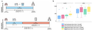 Transport, cold ischemia and preservation times. (a) Preservation times for both groups. Median times for the first and second lung respectively [IQR]. (b) Box plot showing the different preservation times.