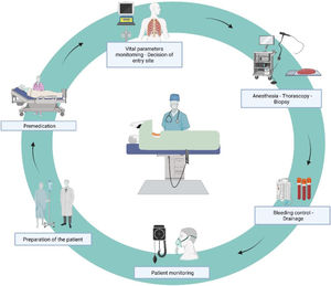 Step-by-step procedure (created with BioRender.com).