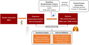Flowchart illustrating the proteome-wide identification of novel therapeutic target proteins for lung cancer based on Mendelian randomization analysis.