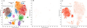 Single-cell RNA sequencing localization analysis of ICAM5 and SFTPB. (A) lung cell clusters (SRA640325; SRS2769051). (B) ICAM5 has no significant single cell level enrichment in lung tissue (p>0.05); (C) SFTPB was enriched in pulmonary alveolar type II cell clusters (p=0.002).