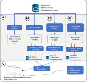 Flowchart of the main methodology used. (A) Represents the statistical analysis performed comparing lobectomies and trisegmentectomies. This statistical analysis consisted of a t-test for continuous variables and Fisher
