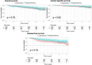 Kaplan–Meier curves after propensity score matching for overall survival, cancer-specific survival, and disease-free survival analyses. The 95% confidence interval and the p value corresponding to the log-rank test are shown for the 3 analyses. Kaplan–Meier curves after propensity score matching for overall survival, cancer-specific survival, and disease-free survival analyses. The 95% confidence interval and the p value corresponding to the log-rank test are shown for the 3 analyses.