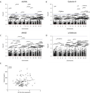 Association between serum DAMP levels and the number of rare variants within a gene. A genome-wide burden test was performed to test the association between the serum levels of (A) dsDNA, (B) Galectin-9, (C) sRAGE, and (D) α-Defensin and the number of variants within a specific gene. The genomic location, and corresponding chromosomes are shown on the x-axis and the log transformed p-values are shown on the y-axis, a corrected p-value higher than −log10(p) was considered statistically significant (presented as a horizontal line). (E) Association between the serum levels of Galectin-9 and broncho-epithelial gene expression of KIF18A. Pearson correlation coefficient (r) and associated p-value are shown.