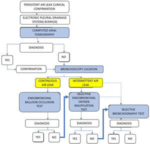 Algorithm for the bronchoscopic diagnosis of alveolar-pleural fistula.