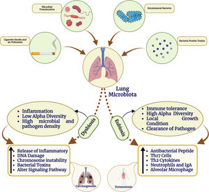 The function of the microbiome in lung cancer. Schematic illustration of lung microbiota to maintain homeostasis and cancer development. In the biology of lung cancer, the microbiota plays a number of functions and employs a range of techniques. The protagonists of the tumor microenvironment are bacteria found in the lungs and upper respiratory system, as well as those with intra-tumor and intracellular locations. The gut microbiota is crucial in influencing how the immune system reacts and how inflamed the body is. This is in addition to the bacteria involved in bloodstream translocation events. It