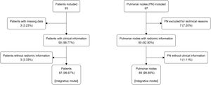 Flowchart of patients and PN.