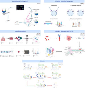 Summary of the main characteristics of the protein-related discovery technologies that have been discussed in the previous paragraphs.
