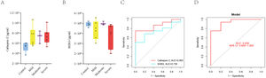 Experimental verification. (A) Expression of cathepsin Z correlates positively with OSA severity. (B) Expression of SHBG correlates negatively with OSA severity. (C) ROC curves for the separate diagnosis of pediatric OSA using the expression levels of cathepsin Z and SHBG in serum. (D) ROC curves for the combined diagnosis of pediatric OSA using cathepsin Z and SHBG in serum.