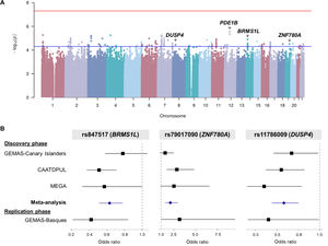 (A) Manhattan plot of the meta-GWAS of asthma exacerbations in the discovery phase. The blue and red lines represent the suggestive (p-value <5×10−5) and the genome-wide (p-value <5×10−8) significance thresholds, respectively. Gene annotation is represented for the top-hit signal and those with evidence of replication. (B) Forest plot of the association results for the SNPs rs11786009 (DUSP4), rs79017090 (ZNF780A), and rs847517 (BRMS1L) from the meta-GWAS of asthma exacerbations in the discovery phase and replication phase. The x-axis represents the odds ratios (ORs) and the vertical line corresponds to OR=1, which means no significant effect. ORs and confidence intervals obtained from SNP-AEs association in each study and meta-analysis are represented as squares and lines or diamonds and lines, respectively.