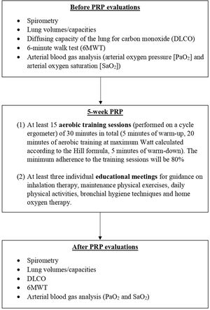 Study protocol.