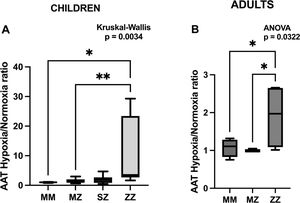 AAT expression under hypoxic conditions in different genotypes. Increased AAT production under hypoxia relative to normoxia in ZZ individuals, suggesting a genotype-specific response, is observed. (A) Box plot showing the ratio of alpha-1 antitrypsin (AAT) expression under hypoxia relative to normoxia for MM, MZ, SZ, and ZZ genotypes in children. Kruskal–Wallis test indicates significant differences between groups (*p<0.05, **p<0.01). (B) Comparison of AAT hypoxia/normoxia ratios between MM, MZ, and ZZ genotypes using ANOVA in adults. Statistically significant differences between them were observed (*p<0.05).