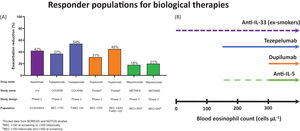 (A) An overview of the effect of monoclonal antibodies on the rate of moderate or severe exacerbation reduction (%) in specific COPD populations from randomised controlled trials. (B) Responder populations according to blood eosinophil counts (BEC) in COPD patients. Dupilumab has shown efficacy in individuals with eosinophils>300cells/μL at screening, but a greater response in individuals who also have FeNO>20ppb. The purple dashed line indicates the efficacy of anti-IL-33 biologicals may be similar across a range of BEC. The green dashed line indicates anti-IL5 biologicals have some efficacy in COPD patients with BEC>150cells/μL at screening with increasing efficacy with BEC>300cells/μL (solid green line).