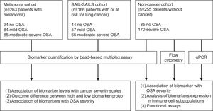 Analysis overview. Detailed information of the three study cohorts including the number of samples of each OSA subgroup, data modality used for measuring biomarker levels and overview of main discovery and validation analyses. OSA: obstructive sleep apnea; SAIL: sleep apnea in lung cancer; SAILS: sleep apnea in lung cancer screening; qPCR: quantitative polymerase chain reaction.