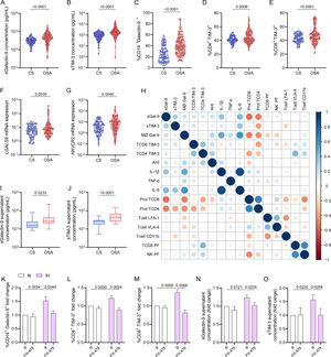 Galectin and TIM-3 expression in OSA patient PBMC. (A and B) Violin plots showing (A) sGalectin-9 and (B) sTIM-3 expression distribution in non-apnoeic subjects (CS or control subjects) and severe OSA patients without cancer evidence from the non-cancer cohort. (C) Violin plots showing percentage of monocytes (CD14+) that express Galectin-9 (Galectin-9+) determined by flow cytometry in randomly selected CS (n=63) and OSA (n=125) patients from the non-cancer cohort. (D and E) Percentage of (D) CD4+ (E) CD8+ T-lymphocytes that expressed high levels of TIM-3 (TIM-3+) determined by flow cytometry in randomly selected CS (n=63) and OSA patients (n=125) from the non-cancer cohort. Comparisons were assessed by used two-sided Student