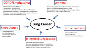 Different pathophysiological mechanisms proposed to be involved in the association of lung cancer and other chronic respiratory diseases.