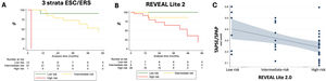 Application of the ESC/ERS and REVEAL Lite 2 scores at diagnosis in PVOD. (A) Kaplan–Meier survival curves for patients classified as low-, intermediate-, and high-risk strata using the ESC/ERS 3 strata score; (B) Kaplan–Meier survival curves for patients classified as low-, intermediate-, and high-risk strata using the REVEAL Lite 2 score; (C) Prediction by the mean interval between TAPSE/sPAP ratio and the REVEAL Lite 2.0 score. The result of the Kruskal–Wallis test (p=0.048) demonstrates differences of the TAPSE/sPAP ratio between risk groups. The result of the Jonckheere–Terpstra tendency test (p=0.012) confirms the trend for lower TAPSE/sPAP in higher risk groups.