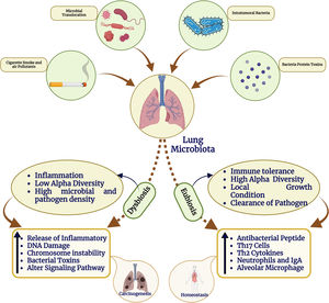 The function of the microbiome in lung cancer. Schematic illustration of lung microbiota to maintain homeostasis and cancer development. In the biology of lung cancer, the microbiota plays a number of functions and employs a range of techniques. The protagonists of the tumor microenvironment are bacteria found in the lungs and upper respiratory system, as well as those with intra-tumor and intracellular locations. The gut microbiota is crucial in influencing how the immune system reacts and how inflamed the body is. This is in addition to the bacteria involved in bloodstream translocation events. It's also possible that certain bacterial toxins with the potential to activate oncogenic pathways might alter lung function. Additionally, cigarette smoke and pollution are the two main causes of the dysbiotic changes in the lungs. Finally, the microbiome may affect metastatic pathways by increasing the production of vascular endothelial growth factors and promoting inflammation.
