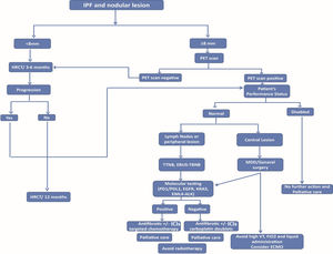 Suggested management of patients with IPF and lung cancer lesion. Abbreviations: ECMO: extracorporeal membrane oxygenation; FiO2: fraction of inspired oxygen; HRCT: high resolution computed tomography; ICIs: immune-check point inhibitors; IPF: idiopathic pulmonary fibrosis; VT: tidal volume.