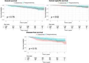 Kaplan–Meier curves after propensity score matching for overall survival, cancer-specific survival, and disease-free survival analyses. The 95% confidence interval and the p value corresponding to the log-rank test are shown for the 3 analyses.