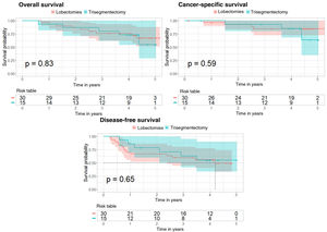 Kaplan–Meier curves after propensity score matching for overall survival, cancer-specific survival, and disease-free survival analyses in the subgroup of patients with tumors measuring 20–30mm. The 95% confidence interval and the p value corresponding to the log-rank test are shown for the 3 analyses.