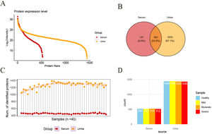 Overall proteome. (A) Using mass spectrometry to analyze serum and urine samples, a total of 524 and 1453 proteins were detected in serum and urine, respectively. (B) Co-expression of protein species in serum and urine. (C) Serum and urine protein expression levels in each sample. (D) Protein expression levels in serum and urine in each group.