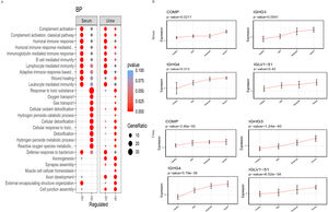 Functions of differential proteins and possible biomarkers. (A) Function of differential proteins in serum and urine. (B) Proteins progressively upregulated with OSA severity in serum and urine.