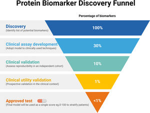Representation of an estimated proportion of candidate protein biomarkers validated in each phase from the discovery step to clinical approval.