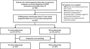 Flow diagram of patient inclusion. COPD, chronic obstructive pulmonary disease; CT, computed tomography.