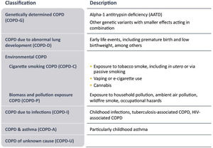 Proposed taxonomy (Etiotypes) for COPD. Reproduced with permission from GOLD. For further explanations, see text.