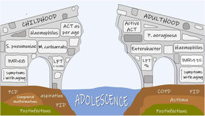 Adolescence: knowledge gaps between paediatric and adult bronchiectasis. ACT: airways clearance techniques; LFT: lung function test; BAR: broncho-arterial ratio; PCD: primary ciliary dyskinesia; PID: primary immunodeficiencies; COPD: chronic obstructive pulmonary disease.